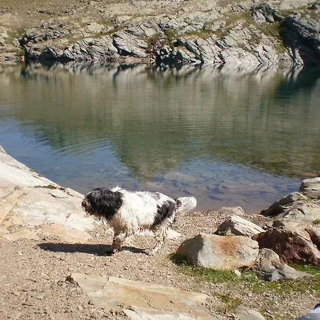 Haus Mattle 페트노이 암 아를베르크