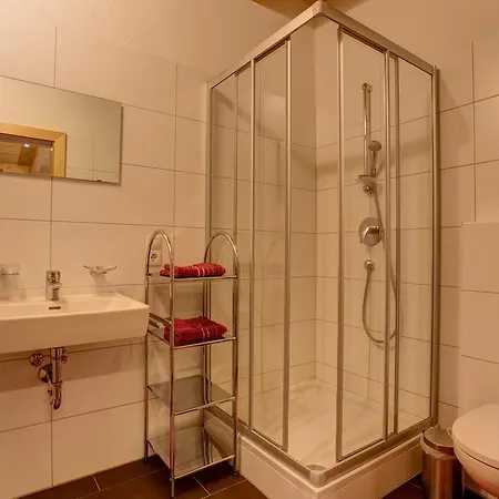 Haus Mattle 아파트 *