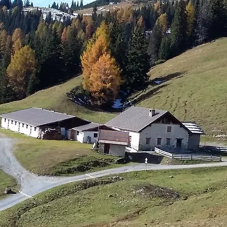 Апартаменты Haus Mattle *