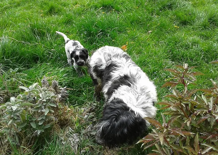 Haus Mattle Apartman Pettneu am Arlberg