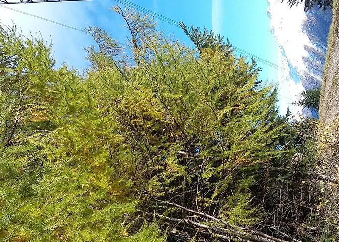 Haus Mattle Pettneu am Arlberg