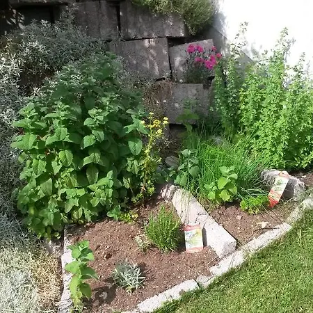 Appartamento Haus Mattle *