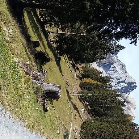 Appartement Haus Mattle